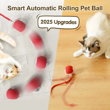 Unlock Your Cat's Playful Spirit Today!