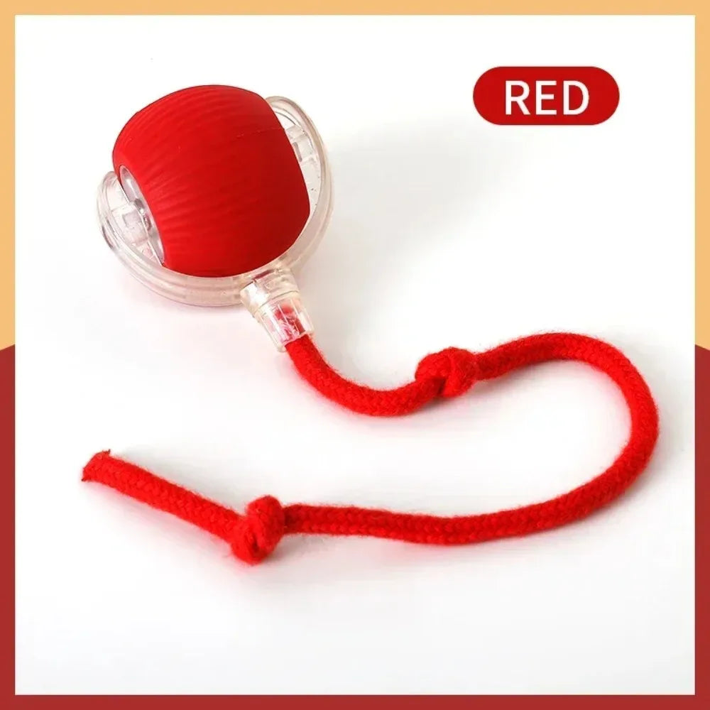 Interactive Cat Play Ball with Tail™