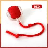 Interactive Cat Play Ball with Tail™