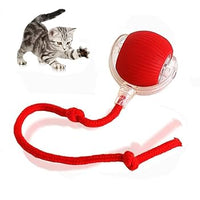 Interactive Cat Play Ball with Tail™